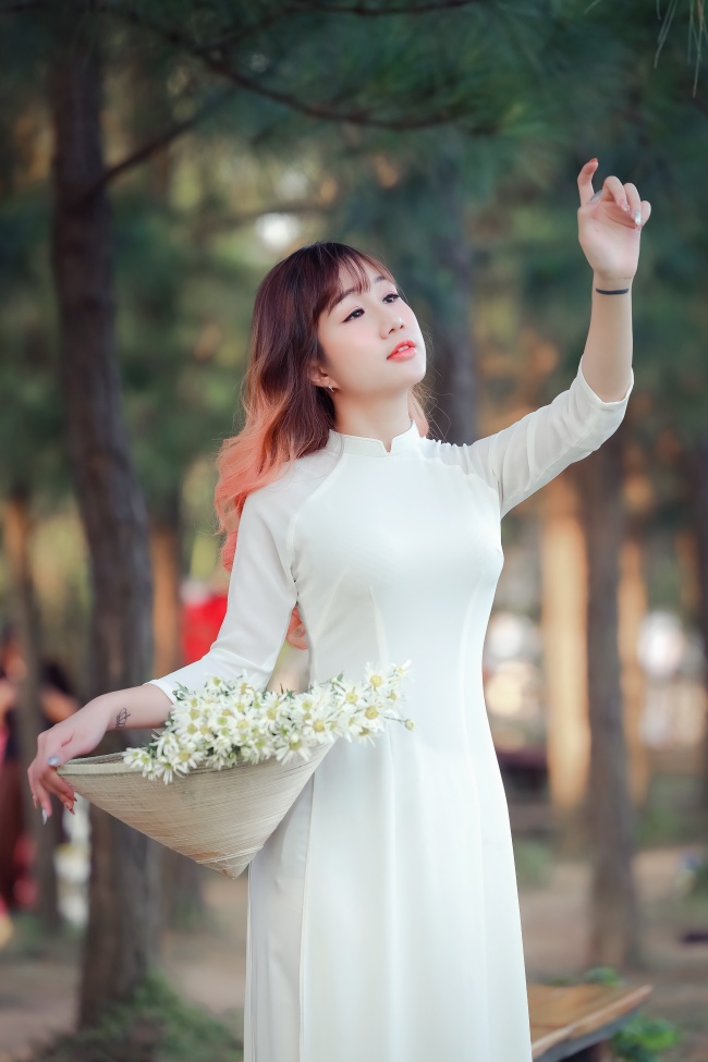暗夜频率